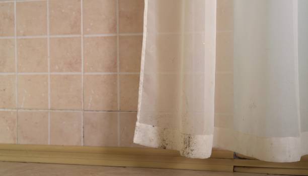 Mold Odor Removal Services in Dewitt, MI